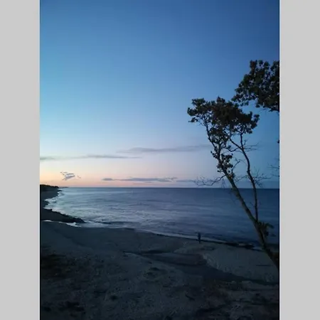 Marine De Bravone T2 Terrasse Front De - Pieds Dans L'eau - Clim - Piscine - Wifi アパート Linguizzetta