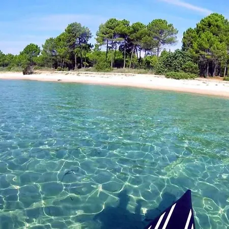 Marine De Bravone Pieds Dans L'eau