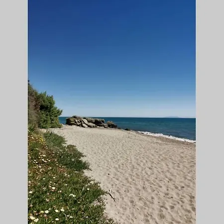Marine De Bravone Pieds Dans L'eau