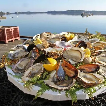 Appartement Marine De Bravone Pieds Dans L'eau *